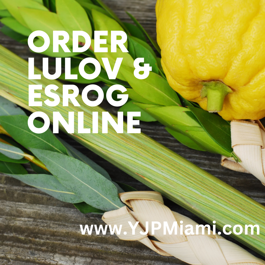 Order a Lulov & Esrog Online